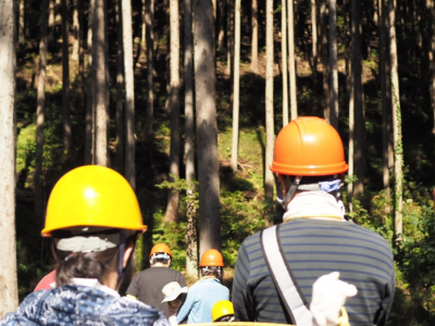 木育イベントに参加しました